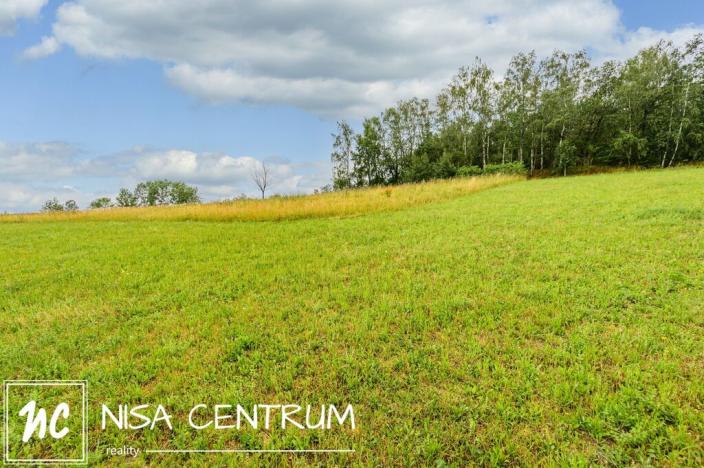 Prodej louky, Víchová nad Jizerou, 991 m2