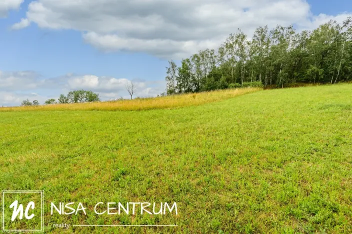 Prodej louky, Víchová nad Jizerou, 991 m2