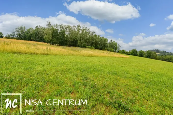 Prodej louky, Víchová nad Jizerou, 991 m2