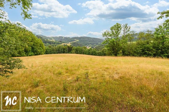 Prodej louky, Víchová nad Jizerou, 23358 m2