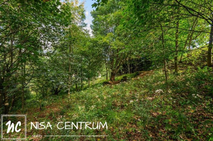 Prodej louky, Bedřichov, 5250 m2