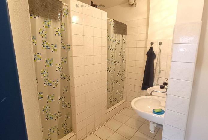 Pronájem výrobních prostor, České Budějovice - České Budějovice 2, České Vrbné, 550 m2