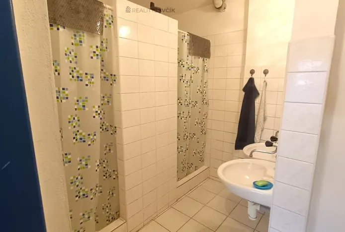 Pronájem výrobních prostor, České Budějovice - České Budějovice 2, České Vrbné, 550 m2