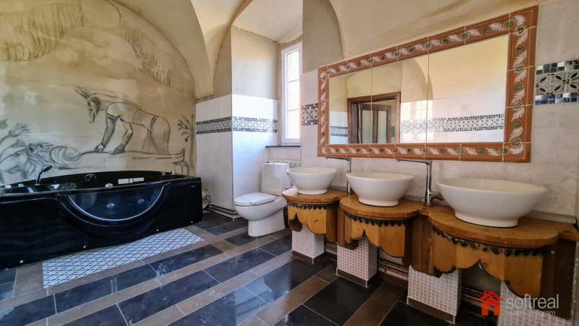 Prodej rodinného domu, Bor - Damnov, 400 m2