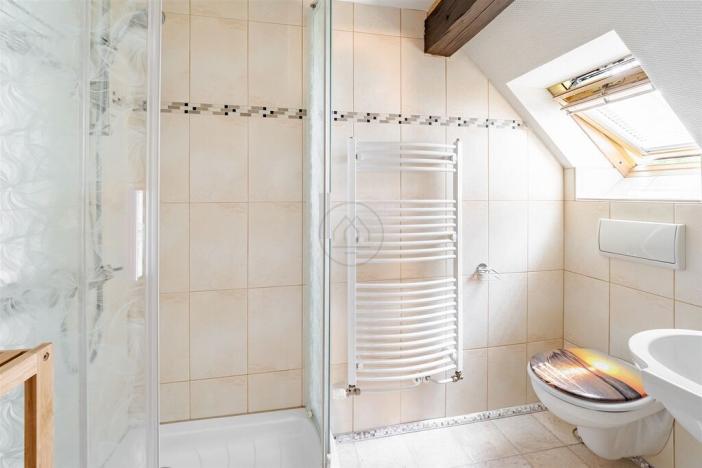 Prodej rodinného domu, Frymburk, č.ev., 294 m2