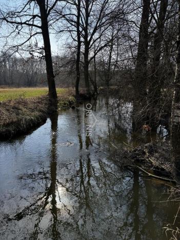 Prodej komerční nemovitosti, Dolní Cerekev, 560 m2