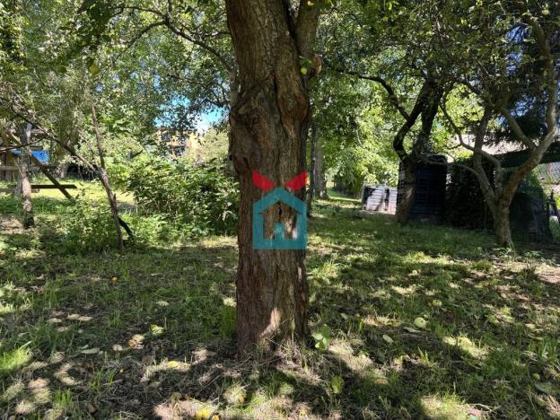 Prodej rodinného domu, Valašské Meziříčí, J. K. Tyla I, 290 m2