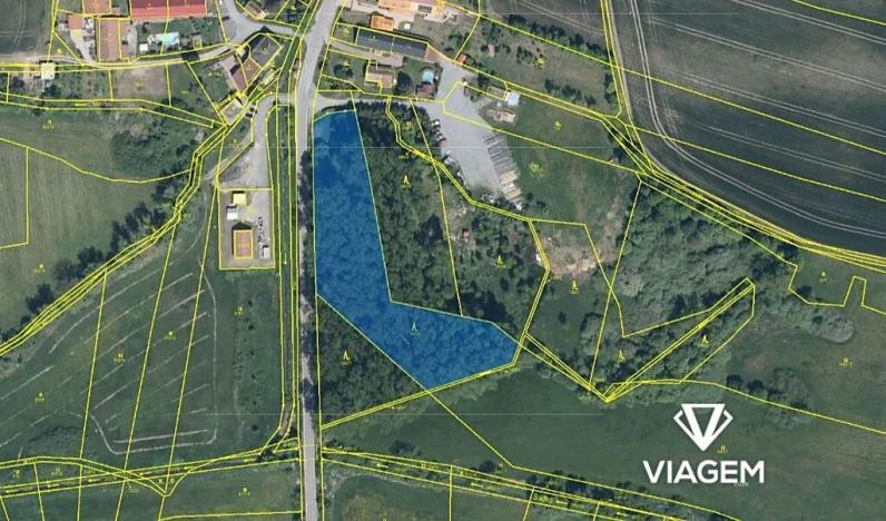 Prodej lesa, Bohuslavice, 6220 m2