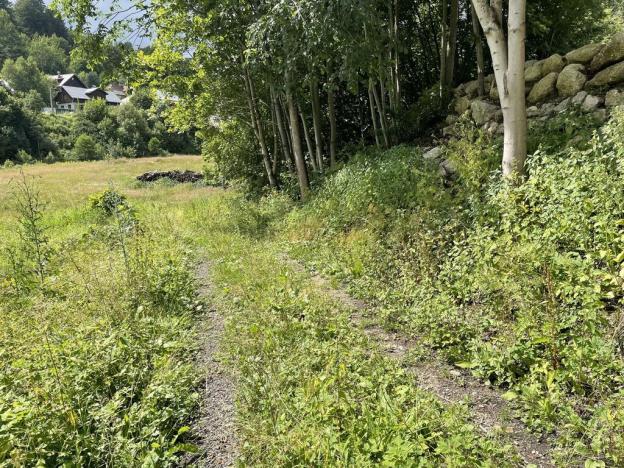 Prodej pozemku pro bydlení, Josefův Důl, 1634 m2