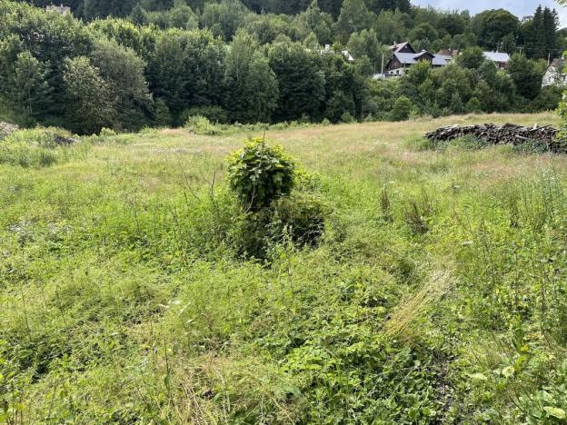 Prodej pozemku pro bydlení, Josefův Důl, 851 m2