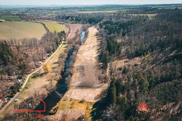 Prodej lesa, Plešnice, 4109 m2