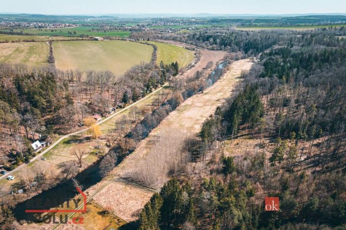 Prodej lesa, Plešnice, 4109 m2