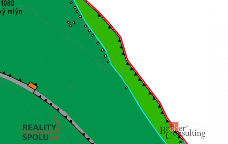 Prodej lesa, Plešnice, 4109 m2