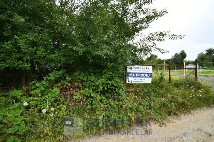 Prodej pozemku pro bydlení, Trhové Sviny, Lesní, 3588 m2