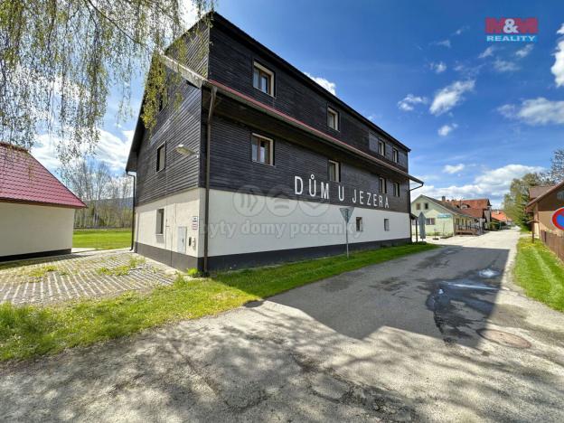 Prodej bytu 1+kk, Nová Pec - Dlouhý Bor, 43 m2