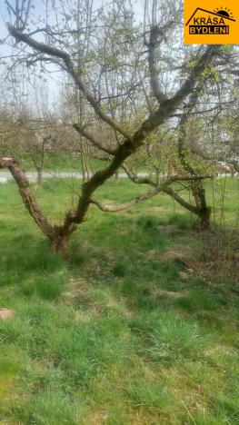 Pronájem zahrady, Olomouc - Slavonín, 310 m2