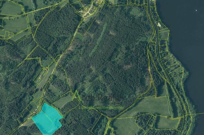 Prodej louky, Přední Výtoň, Frýdava, 23943 m2