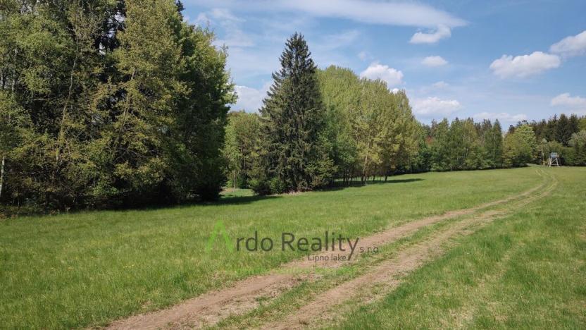 Prodej louky, Přední Výtoň, Frýdava, 23943 m2