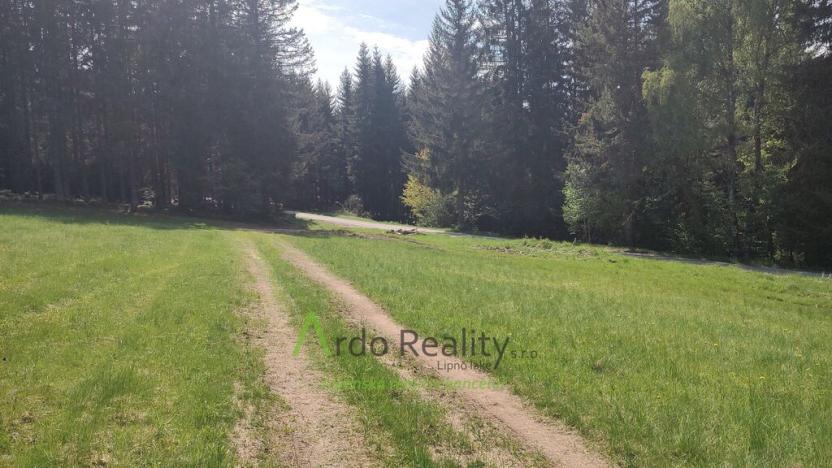 Prodej louky, Přední Výtoň, Frýdava, 23943 m2