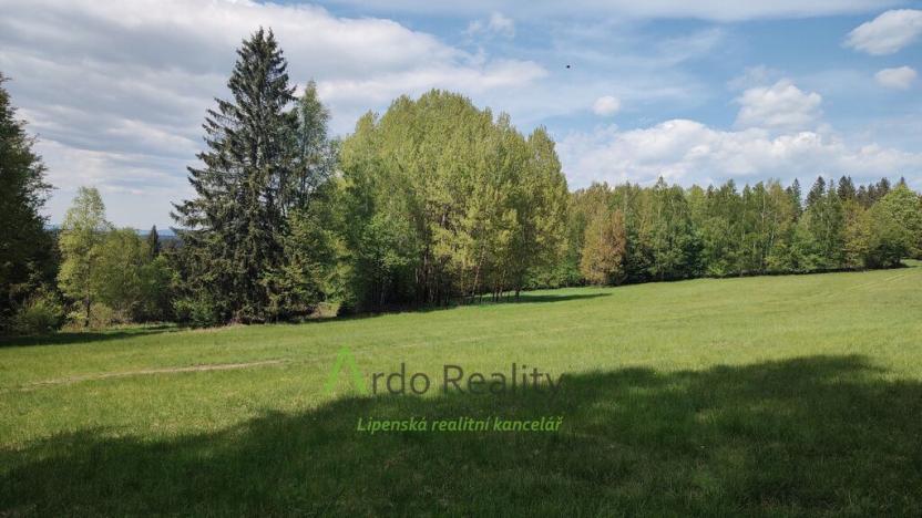 Prodej louky, Přední Výtoň, Frýdava, 23943 m2