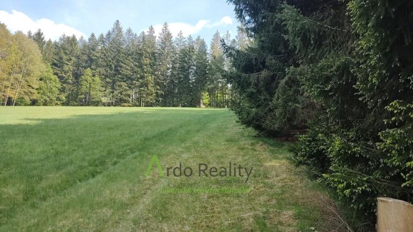 Prodej louky, Přední Výtoň, Frýdava, 23943 m2