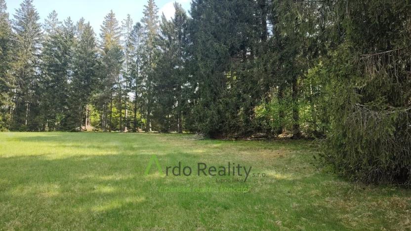 Prodej louky, Přední Výtoň, Frýdava, 23943 m2