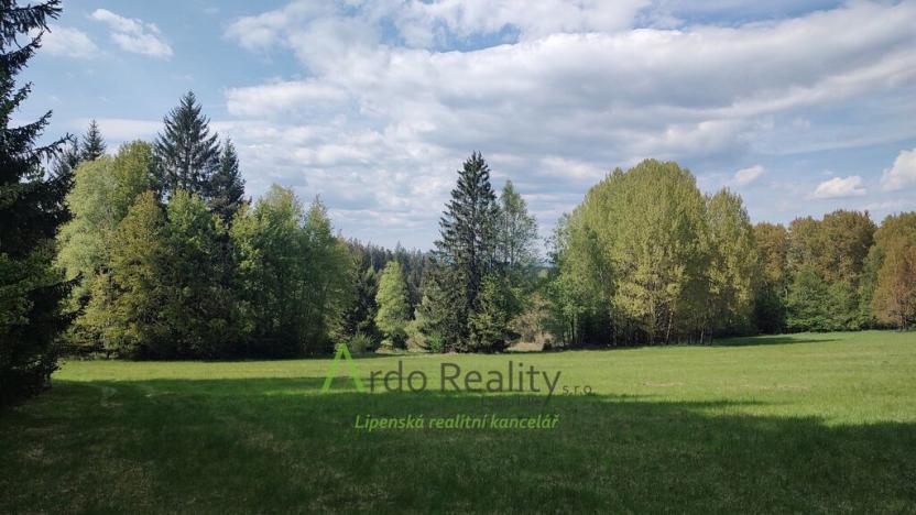 Prodej louky, Přední Výtoň, Frýdava, 23943 m2