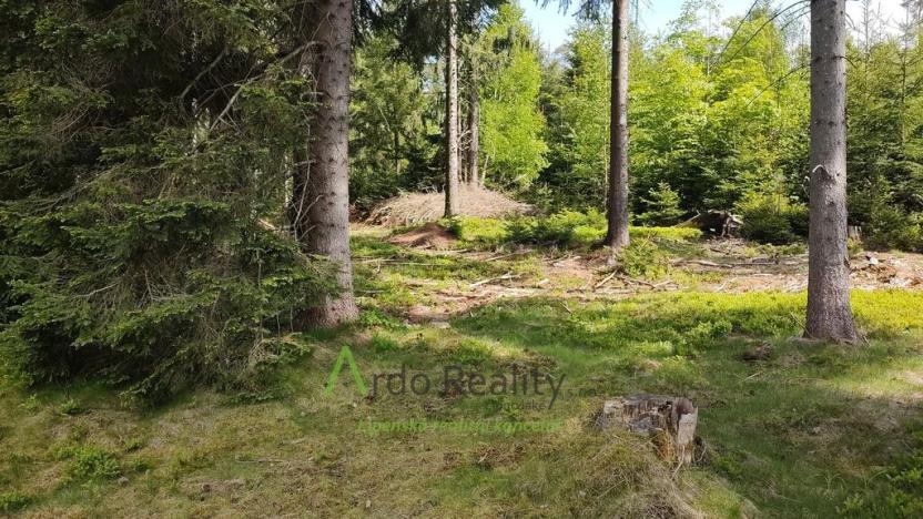 Prodej louky, Přední Výtoň, Frýdava, 23943 m2