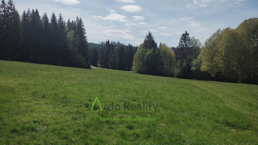 Prodej louky, Přední Výtoň, Frýdava, 23943 m2