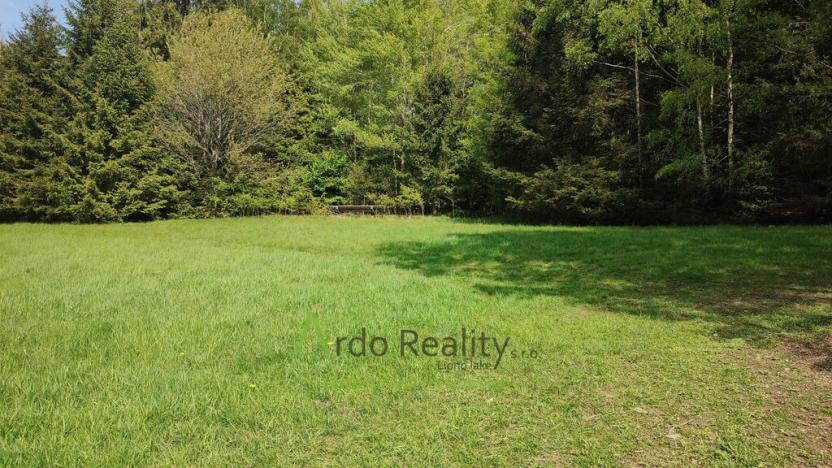 Prodej louky, Přední Výtoň, Frýdava, 23943 m2