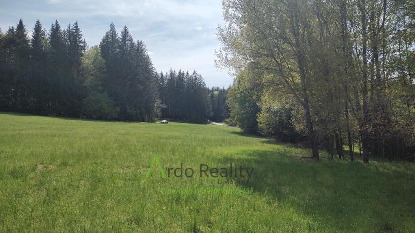 Prodej louky, Přední Výtoň, Frýdava, 23943 m2
