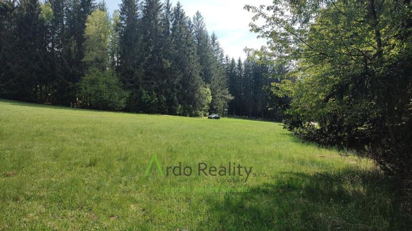 Prodej louky, Přední Výtoň, Frýdava, 23943 m2