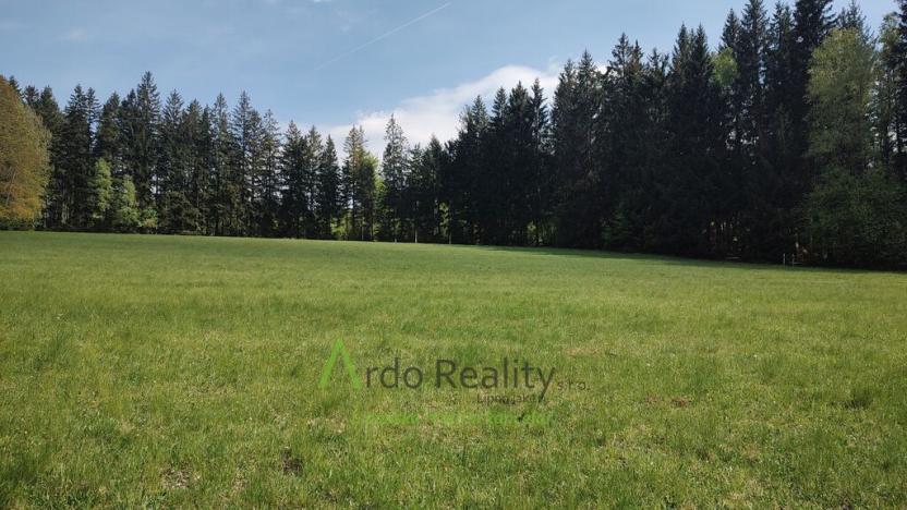 Prodej louky, Přední Výtoň, Frýdava, 23943 m2