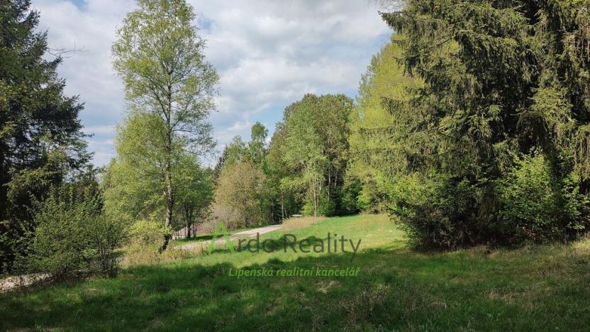 Prodej louky, Přední Výtoň, Frýdava, 23943 m2