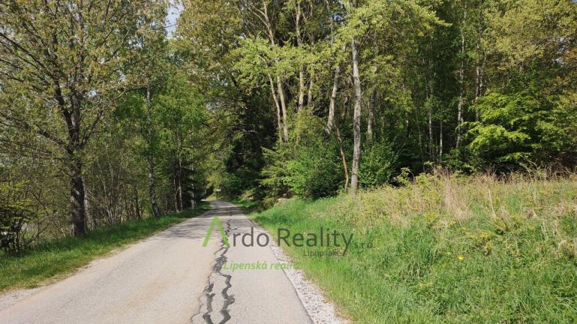 Prodej louky, Přední Výtoň, Frýdava, 23943 m2