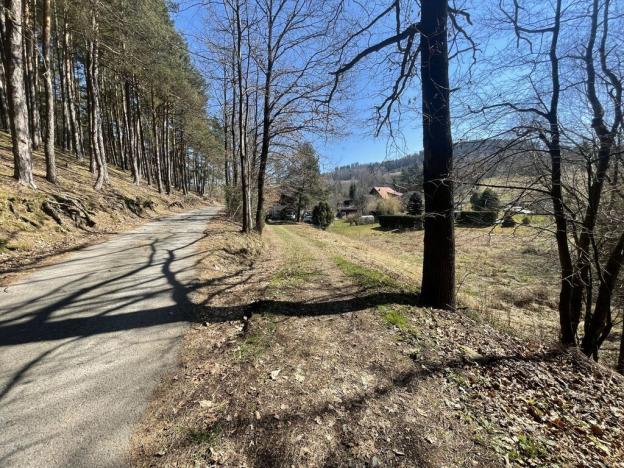 Prodej zahrady, Dlouhá Ves, 782 m2