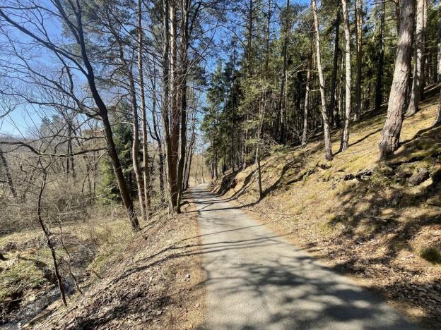 Prodej zahrady, Dlouhá Ves, 782 m2