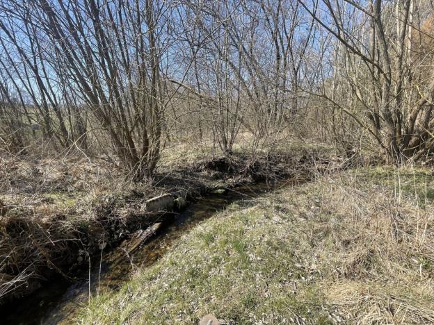 Prodej zahrady, Dlouhá Ves, 782 m2