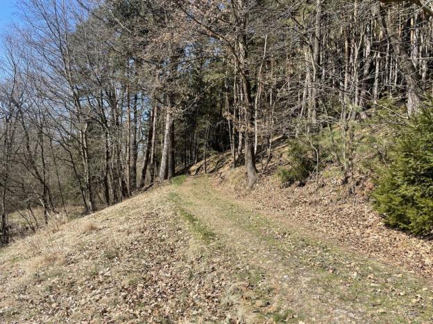 Prodej zahrady, Dlouhá Ves, 782 m2