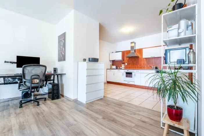 Pronájem bytu 2+kk, Brno - Lesná, Haškova, 79 m2