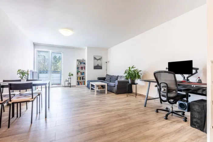 Pronájem bytu 2+kk, Brno - Lesná, Haškova, 79 m2