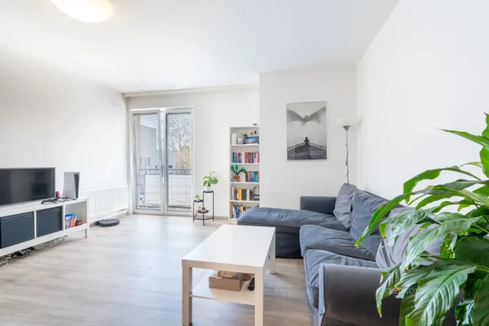 Pronájem bytu 2+kk, Brno - Lesná, Haškova, 79 m2