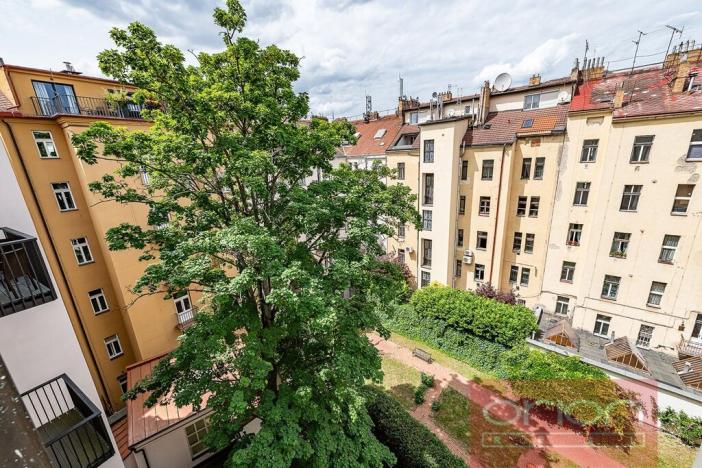 Pronájem bytu 4+kk, Praha - Nové Město, Na Moráni, 155 m2