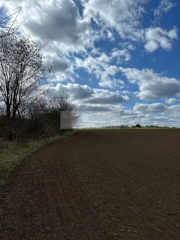 Prodej pozemku, Velké Přílepy, 1019 m2