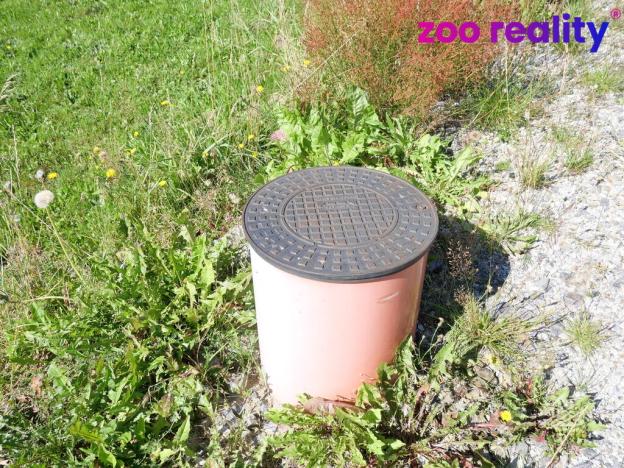 Prodej pozemku pro bydlení, Vacov - Lhota nad Rohanovem, 1572 m2