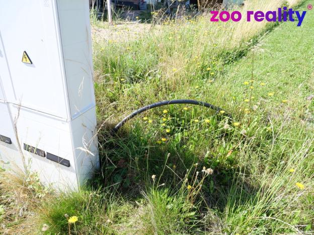 Prodej pozemku pro bydlení, Vacov - Lhota nad Rohanovem, 1572 m2