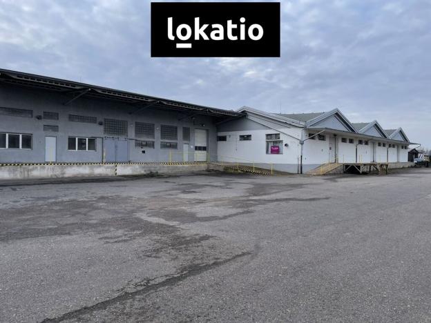 Pronájem skladu, Kostěnice, 1275 m2