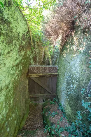 Prodej chaty, Kokořín - Kokořínský Důl, 91 m2