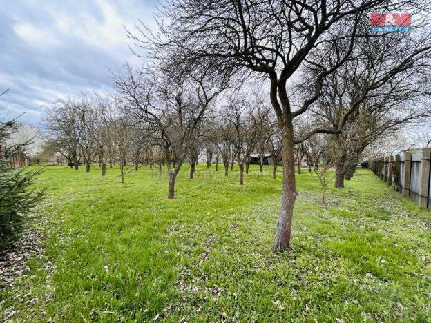 Prodej pozemku pro bydlení, Přerov - Přerov I-Město, 4385 m2