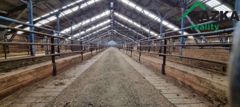 Prodej zemědělského objektu, Dlouhý Újezd, 10000 m2